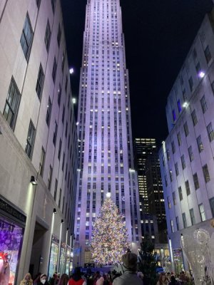 IMG_8303.jpg