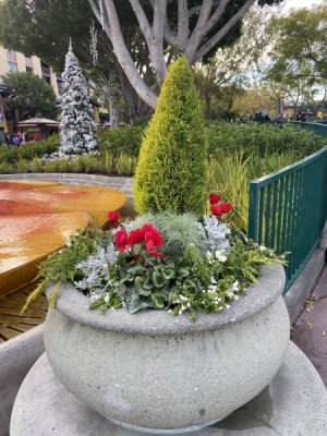 3C910F95-229C-4277-AB8F-2D78748A93C0.jpeg