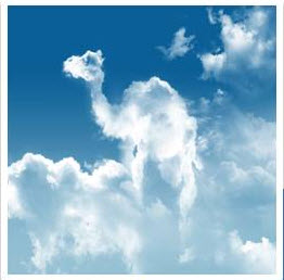 1A92F71F-F47B-4565-91AE-D19CD764AAA4.png 1A92F71F-F47B-4565-91AE-D19CD764AAA4.png