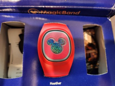 Mickey Decal Sticker for MB+.jpg