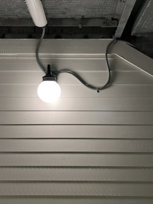 BPK.WallSconce.jpg