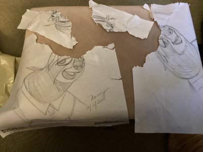 1671215842312.jpeg