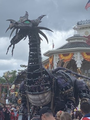 IMG_1687.JPEG