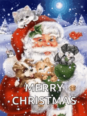 1F841B62-E883-4725-B918-5A3E4B4AEFB1.gif