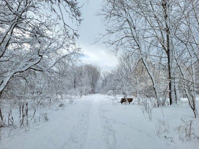 20221218_111856.jpg