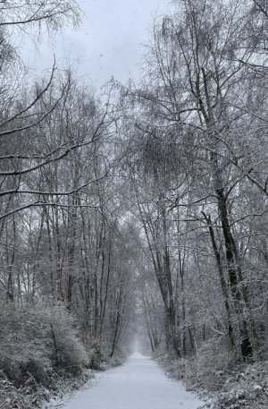 IMG-8354.jpg