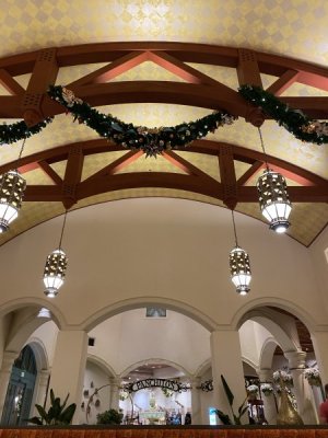 IMG_4225.JPEG