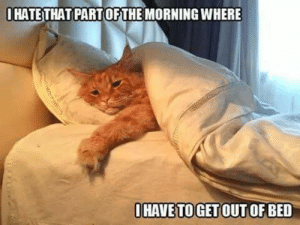 11B3FFEE-D589-414E-9BDA-2415057DF044.png