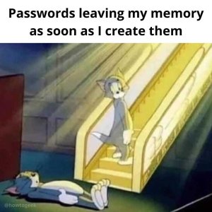 F4CFD2F9-32EF-4A97-82D0-AAA4DD10B96B.jpeg