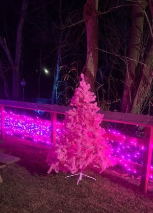 A2DEC8CE-42E5-4896-86CA-B72D2F666539.jpeg