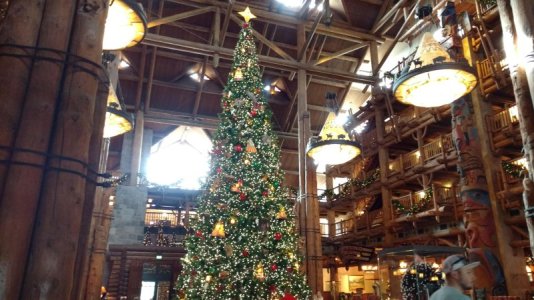 IMG_20191226_133828424.jpg