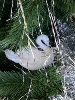 SwanTree.jpg