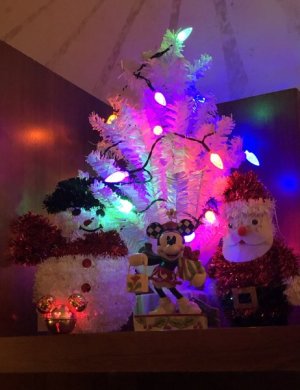B62E9089-0E3F-407B-A6C8-15101C7730D1.jpeg