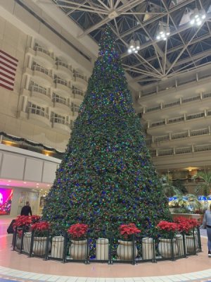 IMG_2135 (1).jpeg