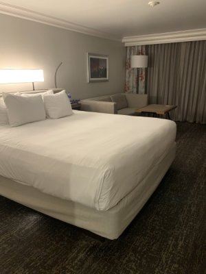 IMG_2136 (1).jpeg