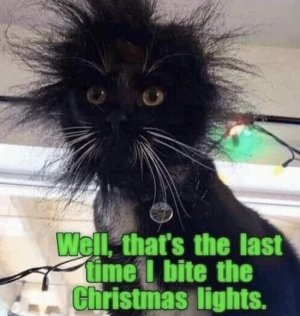 53042126-7E54-47C8-9F94-72207F3D28FA.jpeg