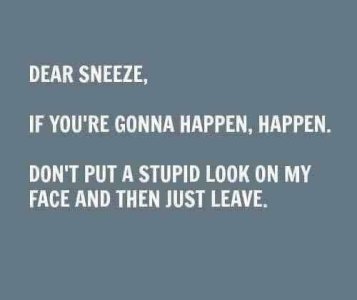 sneeze.jpg