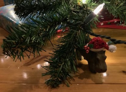 House Hippo Christmas.jpg