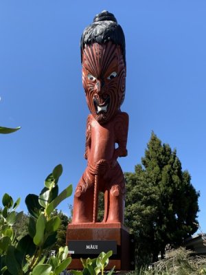Day 6 Maui.JPG