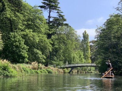 Day 6 punting 2.JPG