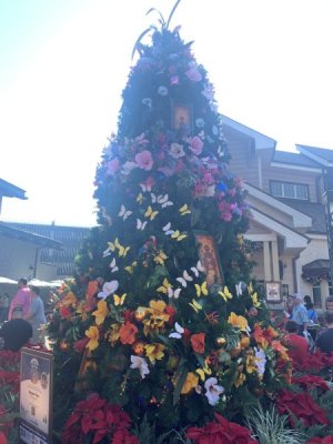 IMG_2154.jpeg
