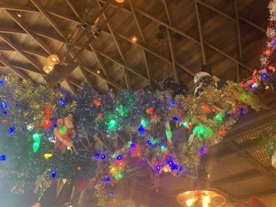 IMG_2166.jpeg