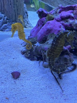 IMG_4131.JPEG
