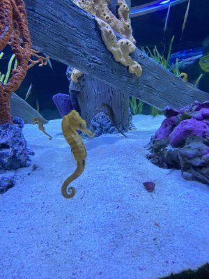 IMG_4132.JPEG