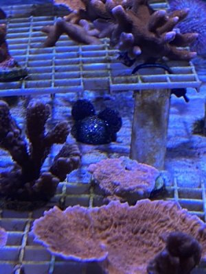 IMG_4135.JPEG