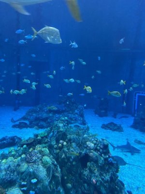 IMG_4139.JPEG