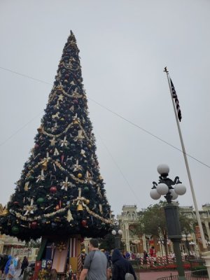 20221123_080040.jpg
