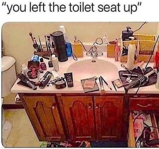toilet.jpg