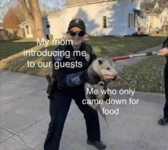 1672365659765.jpeg