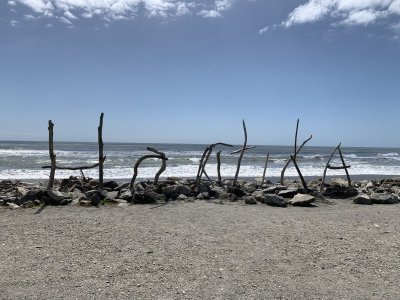Hokitika Driftwood Sign beach.JPG