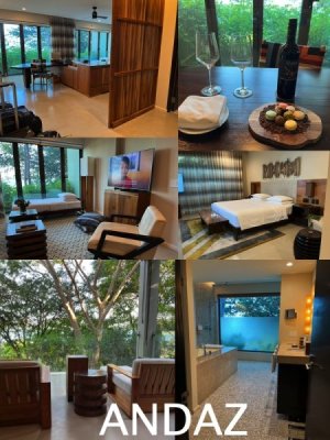 Andaz Suite.jpg