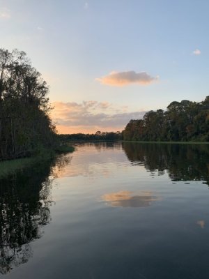 IMG_2172.jpeg
