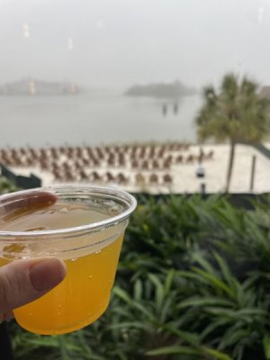 77569009-A8D8-4156-ABA5-DBA9678B3D1F.jpeg