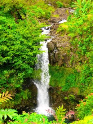 Amee Falls (2).JPG