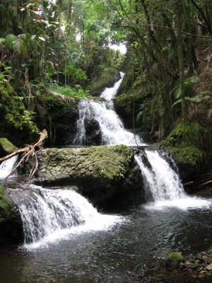 Tropical Falls.JPG