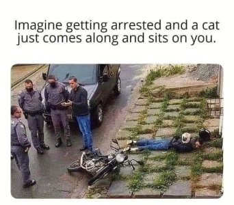 1672676551327.png