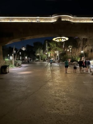 IMG_2564.jpg