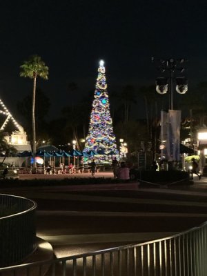 IMG_2560.jpg