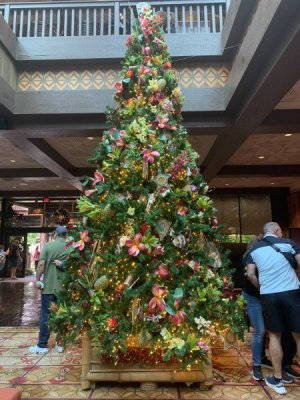 IMG_2225.jpeg