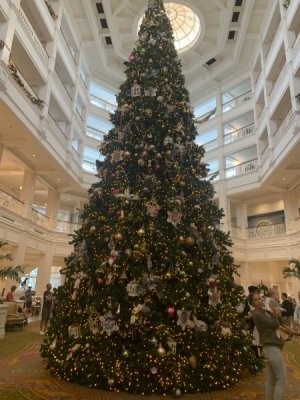IMG_2219.jpeg