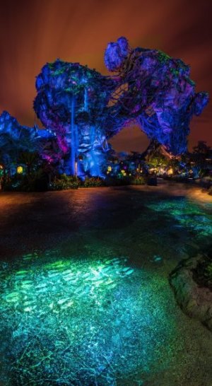 1495077-amazing-disney-wallpaper-1100x2000-for-1080p.jpg