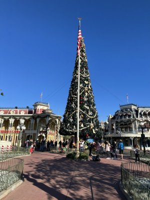 208C654C-E73C-41C8-B19F-3539B2906625.jpeg