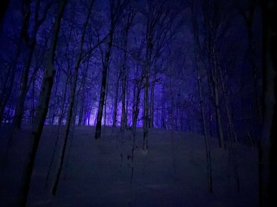 809142AC-725B-417C-BBAC-D001361F2420.jpeg