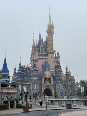 Morning Castle.jpg