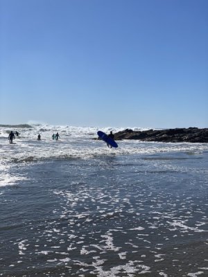 IMG_1458.JPEG