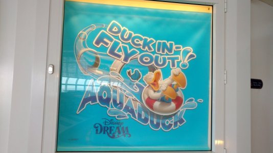 IMG_20170519_070602134.jpg